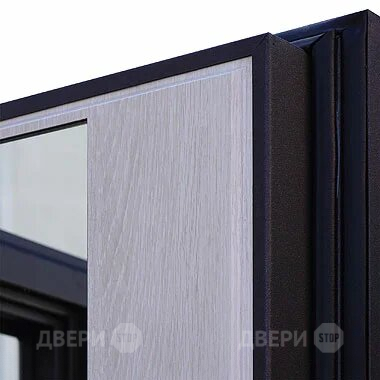 Входная металлическая Дверь Шелтер (SHELTER) Филадельфия Зеркало в Дубне