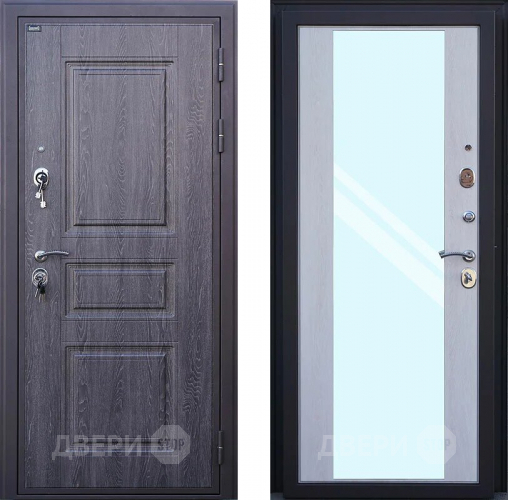 Входная металлическая Дверь Шелтер (SHELTER) Филадельфия Зеркало в Дубне